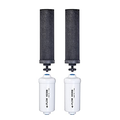 Authentic Black Berkey Elements BB9-2 and PF-2 Filters - Powerful Contaminant Reduction for Clean Water