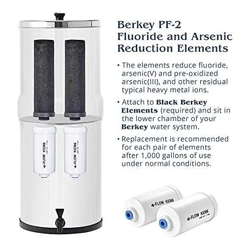 Authentic Black Berkey Elements BB9-2 and PF-2 Filters - Powerful Contaminant Reduction for Clean Water