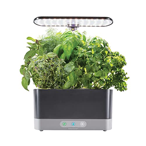 AeroGarden Harvest XL Bundle LED Grow Light Kit with Seed Pod Kits & Plant Food