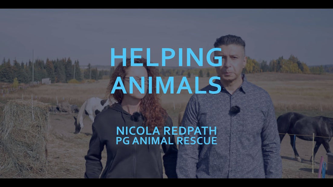 PG Animal Rescue - Rehabilitating and Relocating Abused and Unwanted Animals