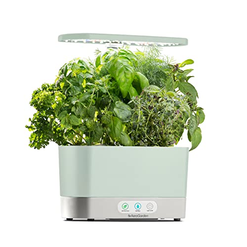 AeroGarden Harvest XL Bundle LED Grow Light Kit with Seed Pod Kits & Plant Food