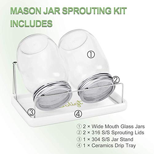 Mason Jar Sprouting Kit - 2 Jars, Stainless Lids, Tray & Stand for Home Sprouting