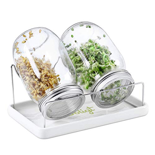 Mason Jar Sprouting Kit - 2 Jars, Stainless Lids, Tray & Stand for Home Sprouting