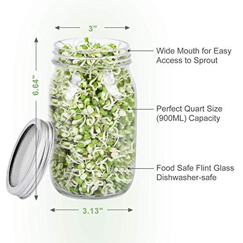 Mason Jar Sprouting Kit - 2 Jars, Stainless Lids, Tray & Stand for Home Sprouting