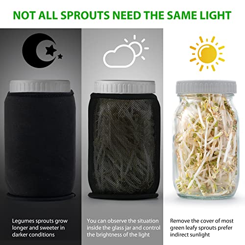 Auspok Sprouting Jar Kit, 2 Wide Mouth Mason Jars, Premium Stainless Steel Screen Sprout Lids