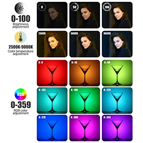 ULANZI VL49 RGB Video Lights