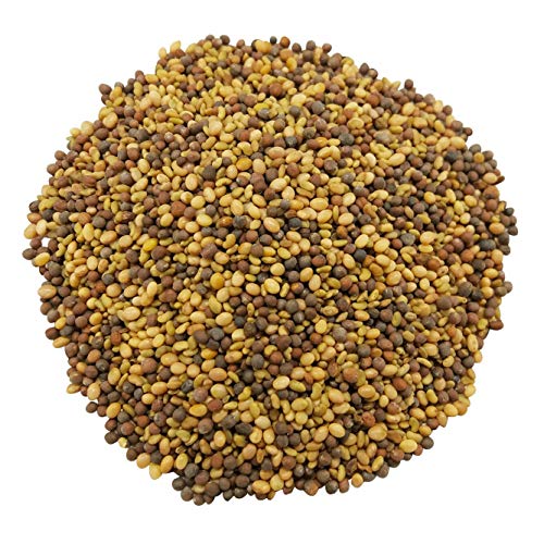 Organic Antioxidant Mix Sprouting Seeds - High Germination, Tasty & Nutritious