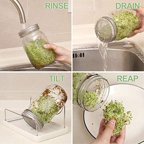 Mason Jar Sprouting Kit - 2 Jars, Stainless Lids, Tray & Stand for Home Sprouting