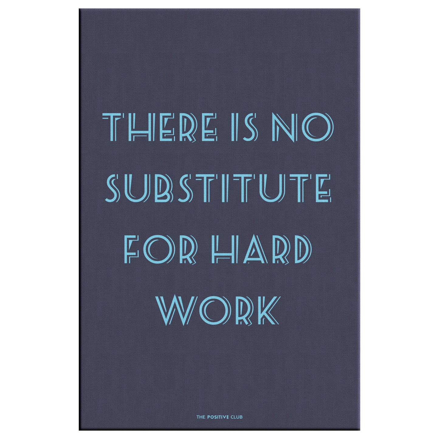 THERE IS NO SUBSTITUTE FOR HARD WORK