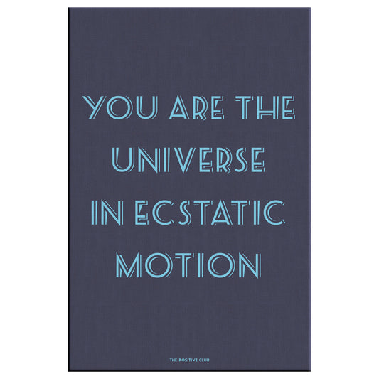 YOU ARE THE UNIVERSE IN ECSTATIC MOTION